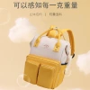 Mummy Bag Factory Direct sales of new baby and mother bags, multi-functional diaper bags, mom bags, cross-border urine pads, insulated bags for both shoulders details Picture